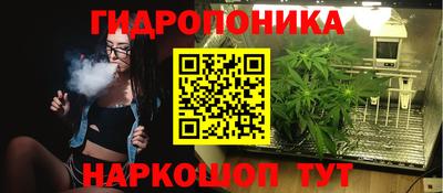 apvp Абакан