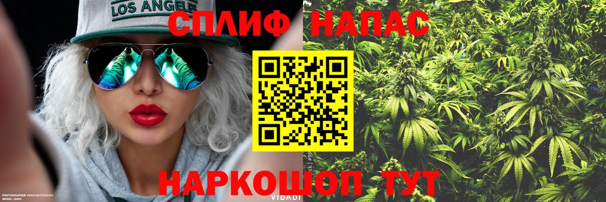 Каннабис Bruce Banner  Вход с VPN  Азнакаево  Шишки марихуана семена 